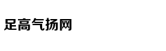 阿圭罗破门曼城1-0伯恩利 夺冠在望